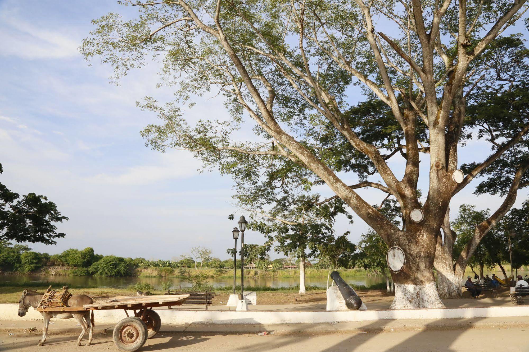 Portal De La Marquesa Hotel Mompos Exterior photo The tree in 2011