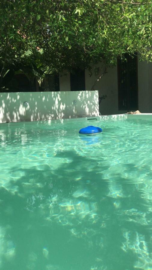 Portal De La Marquesa Hotel Mompos Exterior photo Blue buoy